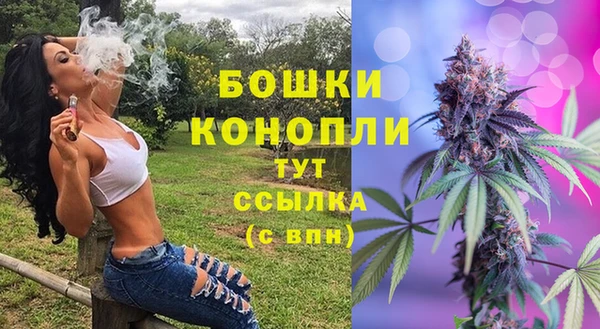 индика Вязьма